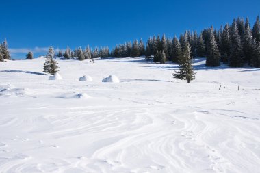 Winter landscape with blue sky clipart