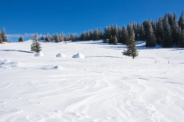 Зимовий пейзаж з блакитним небом — стокове фото