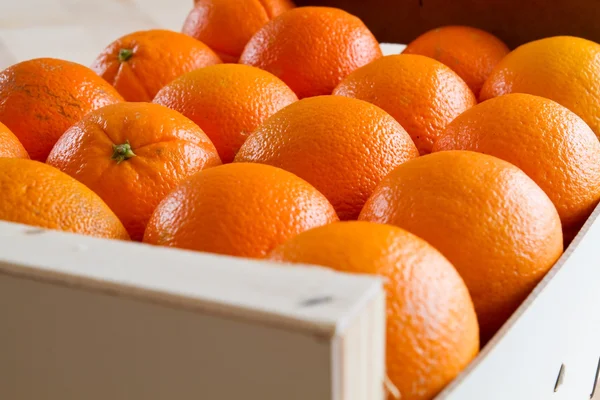 Naranjas frescas, Primer plano —  Fotos de Stock
