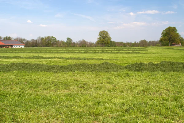 Farm land in Bavaria — Stock Photo, Image