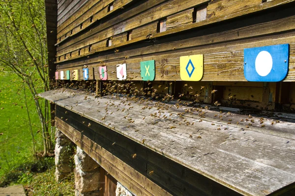Včely (apiformes) létají do úlu — Stock fotografie