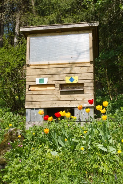 Včely (apiformes) létají do úlu — Stock fotografie