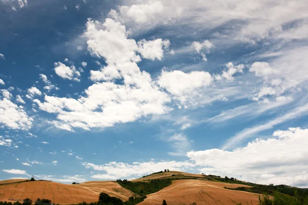 Campo de le Marche, Itália, contra o céu nublado — Fotografia de Stock