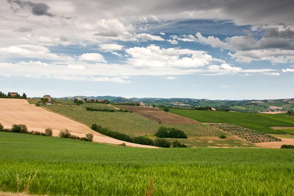 Wzgórza le Marche, Włochy — Zdjęcie stockowe