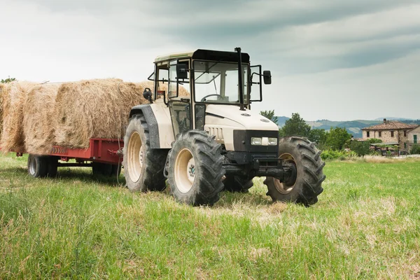 Трактор, загруженный сеном в Италии — стоковое фото