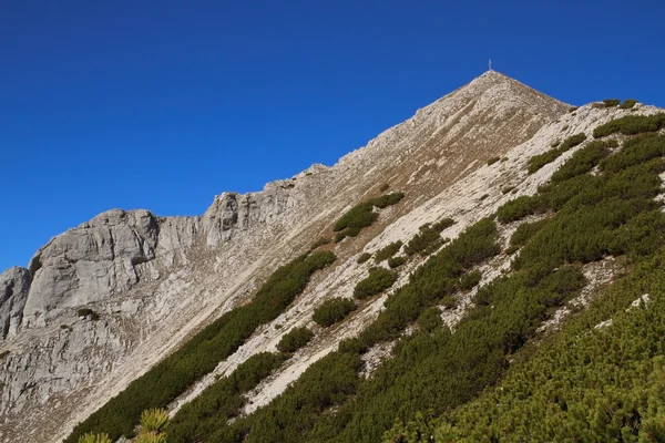 "布伦斯坦峰"， 奥地利 — 图库照片