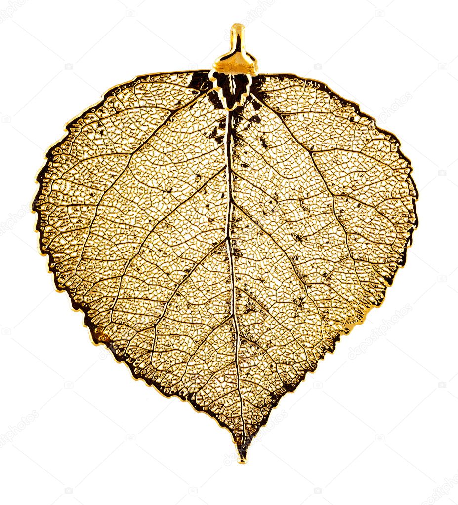 ポプラの葉ネックレス ゴールド ストック写真 C Mnstankov