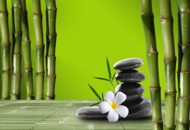 Young, green bamboo in the background boke clipart