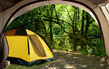 View from the tent on the picturesque forest clipart