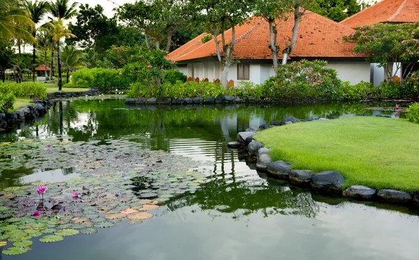 Talo, jossa on hieno puutarha ja kukoistava lootus — kuvapankkivalokuva