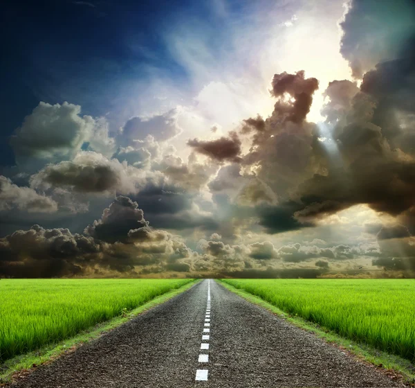 Empty paved road in the green fields — Stock Photo, Image