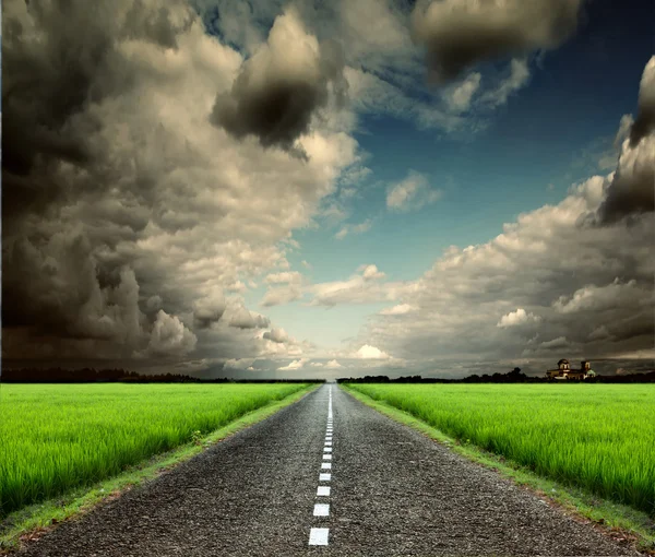 Estrada pavimentada vazia nos campos verdes — Fotografia de Stock