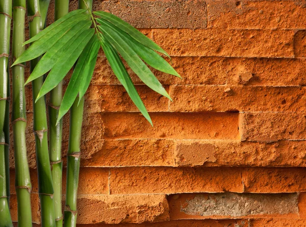 Abstract close-up brick wall background — Stock Photo, Image