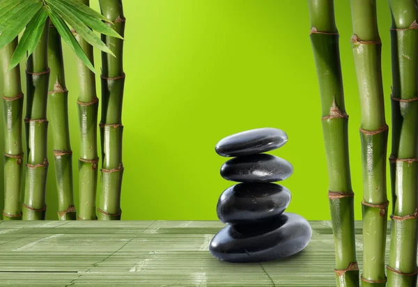 Fine image of different bamboo, nature background — Stock Photo, Image