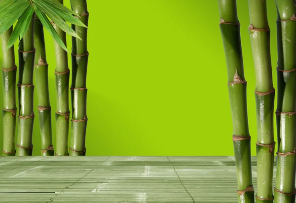 Jemný obraz různých bambus, přírodní pozadí — Stock fotografie