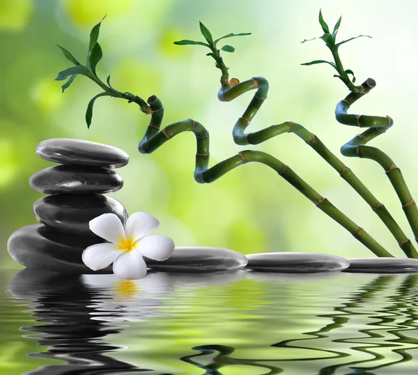 Wellness-Konzept Zen Basaltsteine — Stockfoto