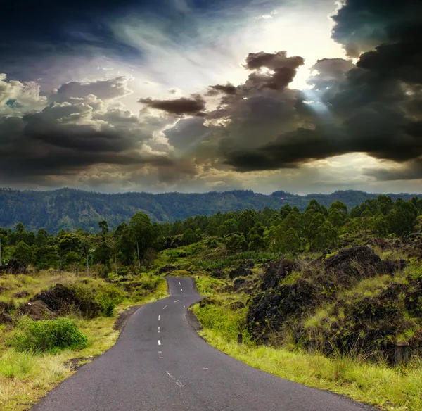 Curva estrada através da selva — Fotografia de Stock