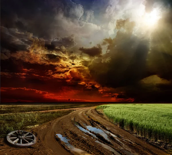 Деревенский пейзаж с грунтовой дорогой после дождя, Россия — стоковое фото