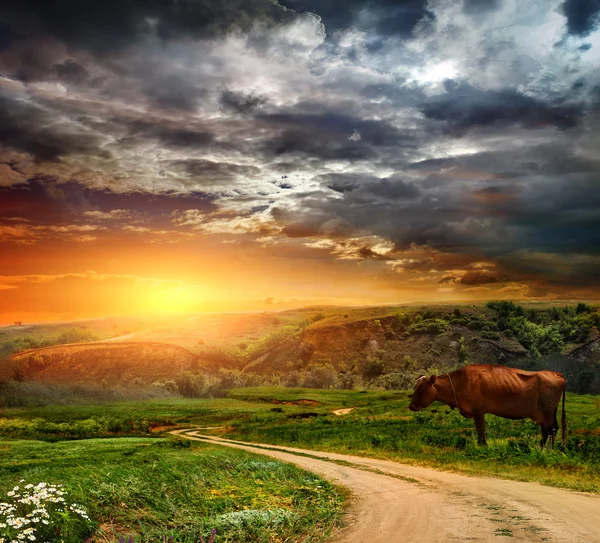 Wolken über dem See und Bäume an der Küste, ferne Berge zeigen ihre Spitzen — Stockfoto