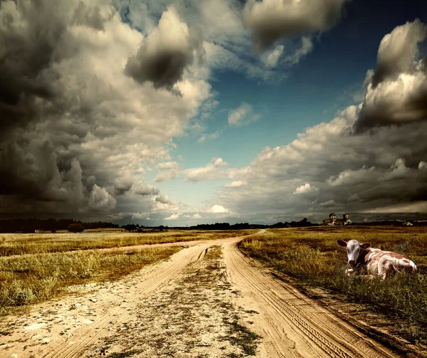 Paisaje rural con camino de tierra después de la lluvia, Rusia —  Fotos de Stock