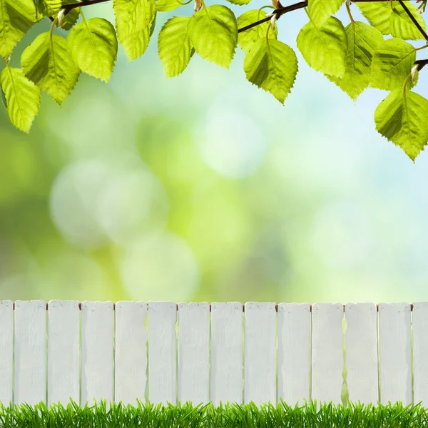 A fence is a freestanding structure designed to restrict or prevent movement across a boundary. — Stock Photo, Image