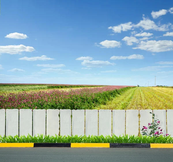 Vitt staket och grönt gräs — Stockfoto