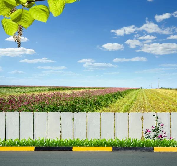 Bílý plot a zelená tráva — Stock fotografie