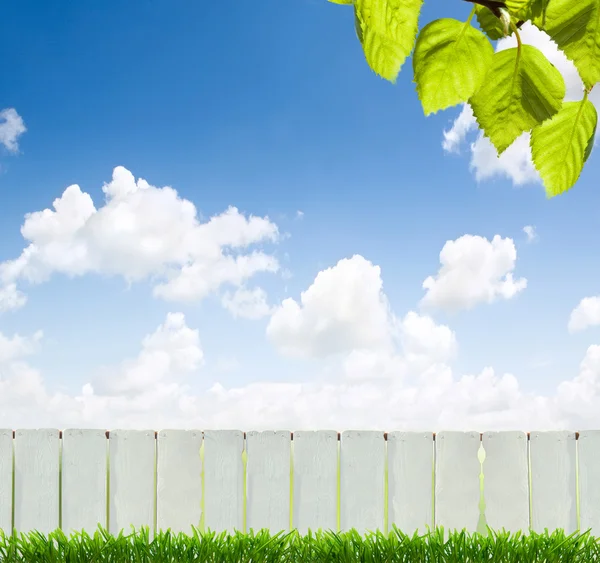 Fehér kerítés és zöld fű — Stock Fotó