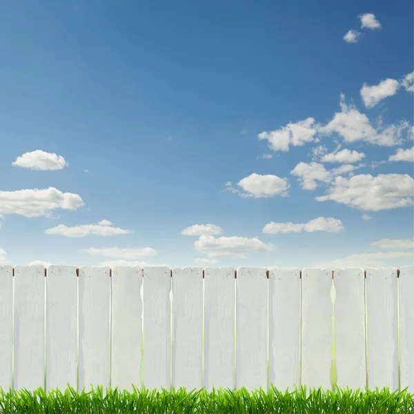 Белый забор и зеленая трава — стоковое фото