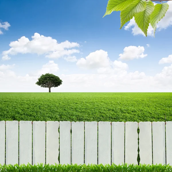 Valkoinen aita ja vihreä ruoho — kuvapankkivalokuva