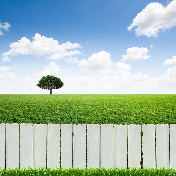 Clôture blanche et herbe verte — Photo