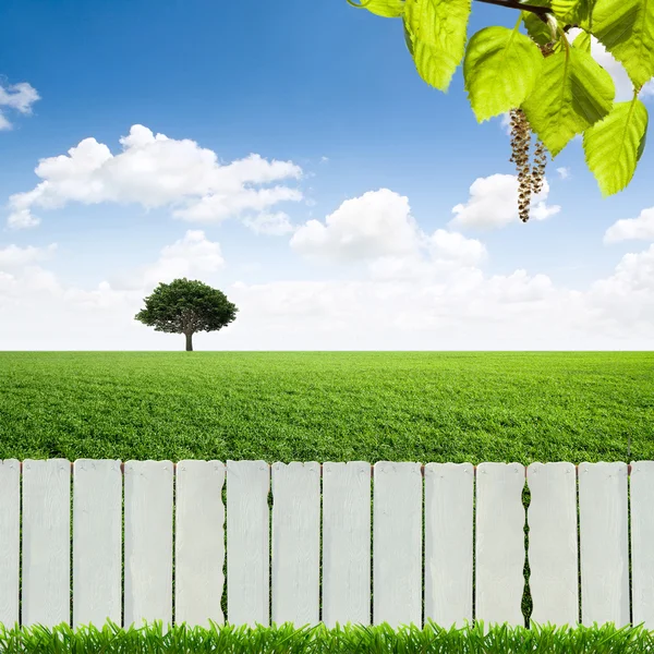 Weißer Zaun und grünes Gras — Stockfoto