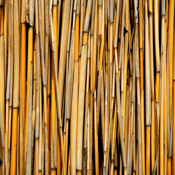 Cane dry, as a background — Stock Photo, Image