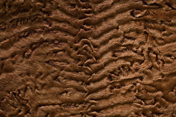Fundal piele de oaie — Fotografie, imagine de stoc