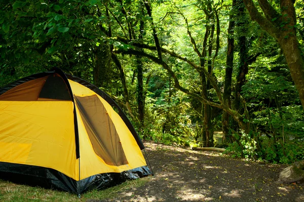 Желтая палатка в лесу — стоковое фото