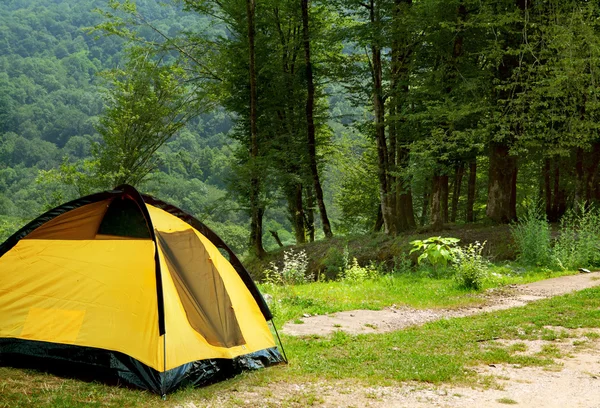숲에서 노란색 텐트 — 스톡 사진