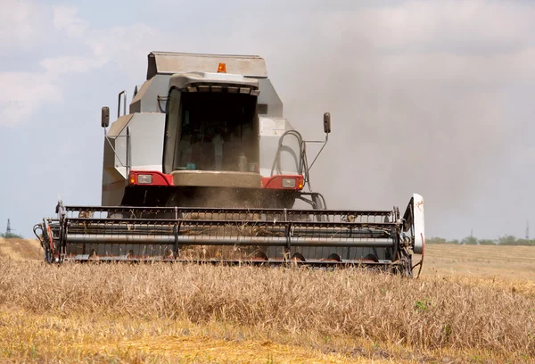Graan harvester combineren in het veld — Stockfoto