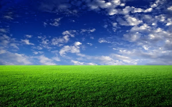 Erba verde, cielo azzurro e nuvole bianche — Foto Stock