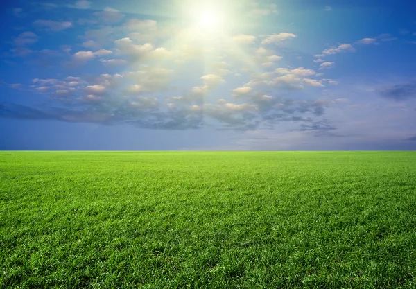 Herbe verte, ciel bleu et nuages blancs — Photo