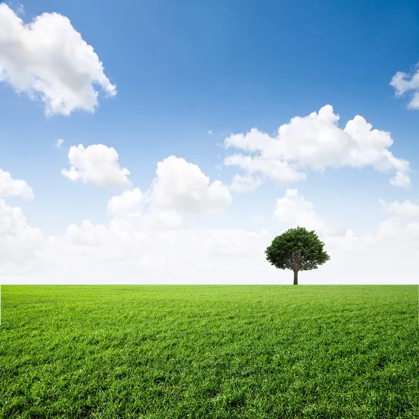 Cloud ve stromu na zelené louce — Stock fotografie