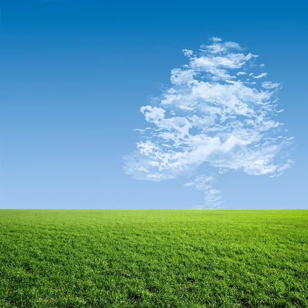 Yeşil çayır ağaç bulut — Stok fotoğraf