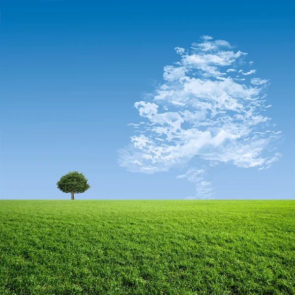 Nuvem em uma árvore em um prado verde — Fotografia de Stock