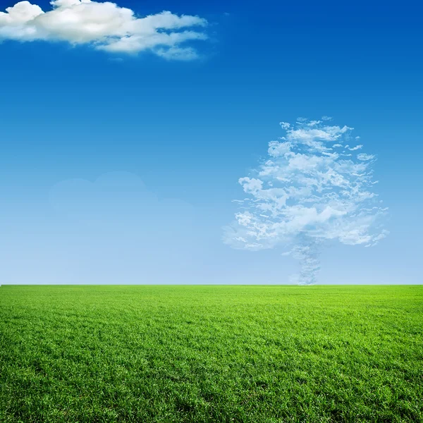 Nube en un árbol en un prado verde — Foto de Stock