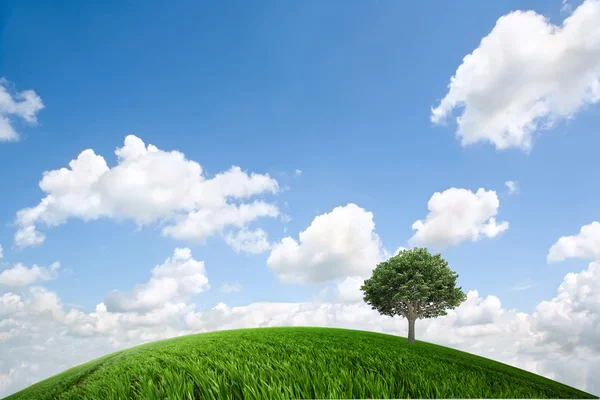 Nuvem em uma árvore em um prado verde — Fotografia de Stock