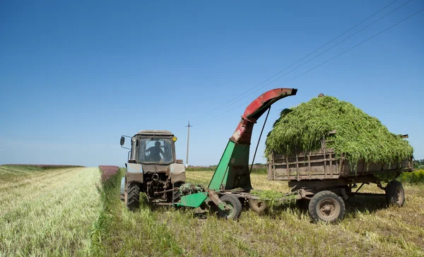 Tractor en el campo de los transportes heno —  Fotos de Stock