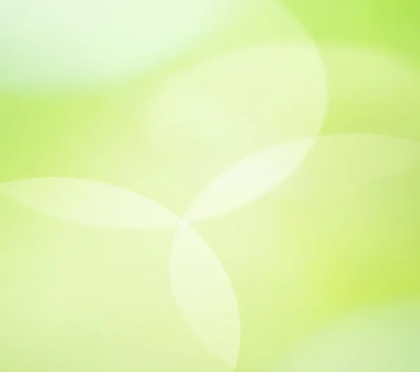 Natuurlijke groene achtergrond met selectieve focus — Stockfoto