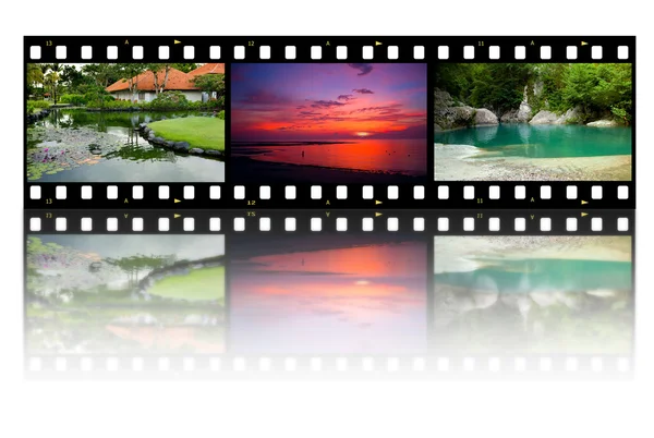 Striscia di pellicola con foto diverse - vita e natura (le mie foto ) — Foto Stock