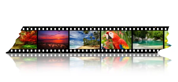 Film strip with different photos - life and nature (my photos) — Stock Photo, Image