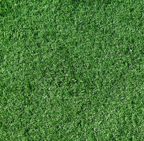 Piłka nożna trawa tło światło i cień — Zdjęcie stockowe