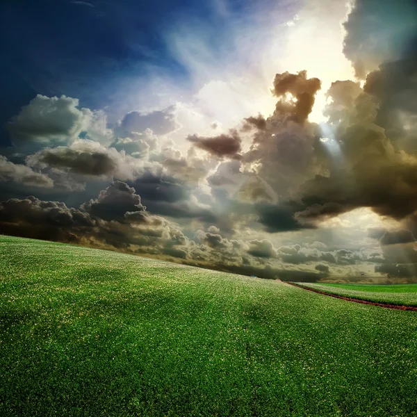Grama verde, o céu azul e nuvens brancas — Fotografia de Stock